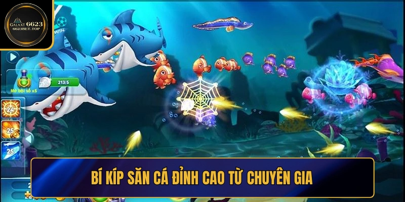 Bí kíp trở thành chuyên gia săn cá đỉnh cao